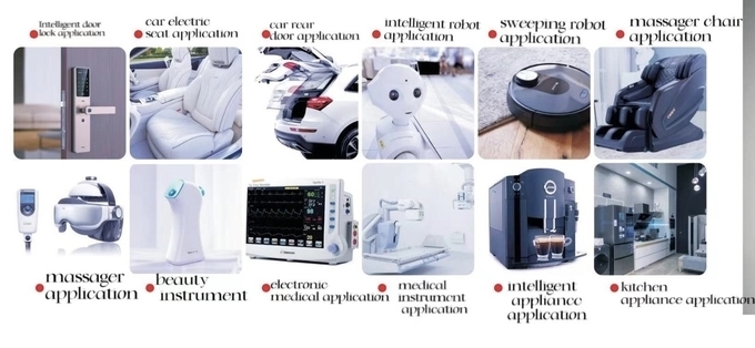 Mikroluftpumpe DC/AC12.0V~220V für Massager 1